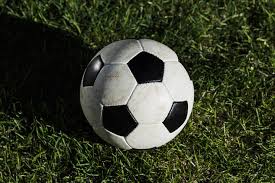 球探网即使比分手机版应用界面展示