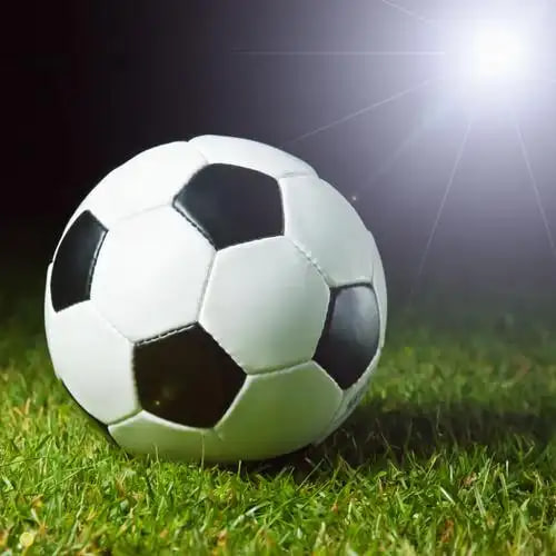 球探网即使比分手机版立即下载